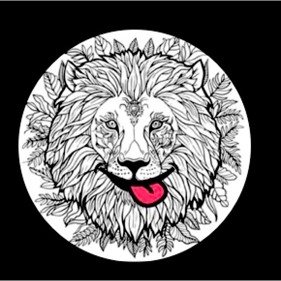 Meet your Posher, Friendly Lion 🦁 - Picture 1 of 1